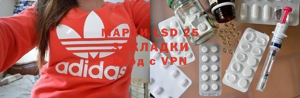ГАЛЛЮЦИНОГЕННЫЕ ГРИБЫ Новозыбков
