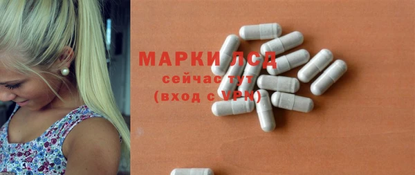 ГАЛЛЮЦИНОГЕННЫЕ ГРИБЫ Новозыбков