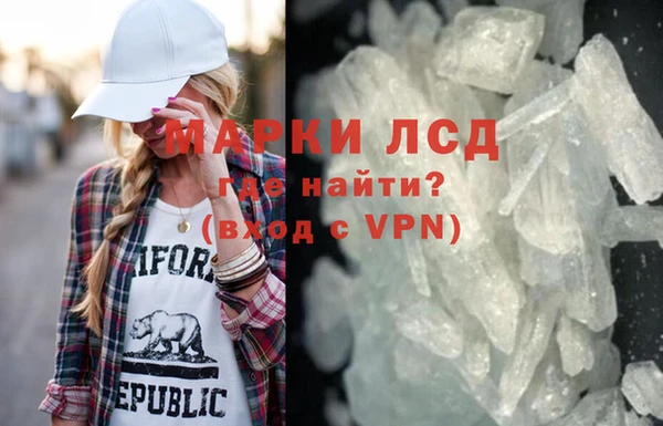 ГАЛЛЮЦИНОГЕННЫЕ ГРИБЫ Новозыбков