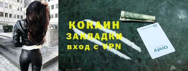 ГАЛЛЮЦИНОГЕННЫЕ ГРИБЫ Новозыбков