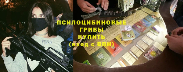 ГАЛЛЮЦИНОГЕННЫЕ ГРИБЫ Новозыбков