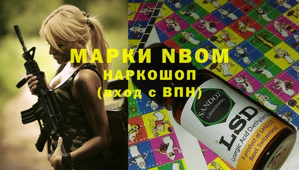 ГАЛЛЮЦИНОГЕННЫЕ ГРИБЫ Новозыбков