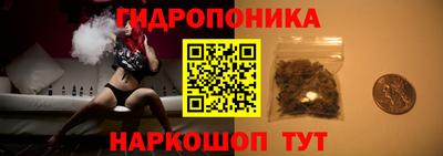 бошки Бийск