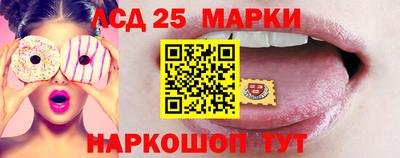 гидропоника Берёзовский