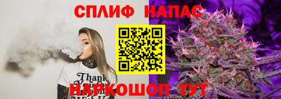 бошки Бийск