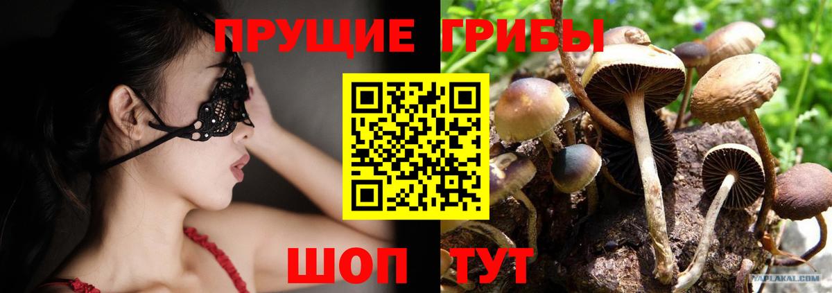 Псилоцибиновые грибы Cubensis  как найти наркотики  Калач-на-Дону  Вход с VPN 