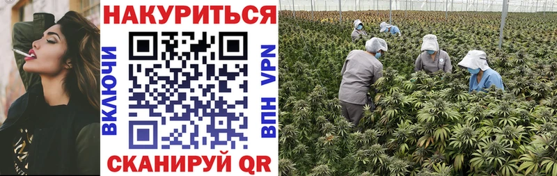 продажа наркотиков  Калач-на-Дону  даркнет клад  Марихуана MAZAR 